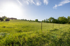 2065 CR 461 | Pollard AR | Photos
